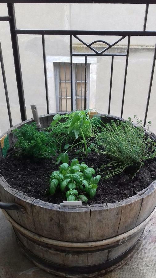 Gite Au Coeur De Volnay بون المظهر الخارجي الصورة